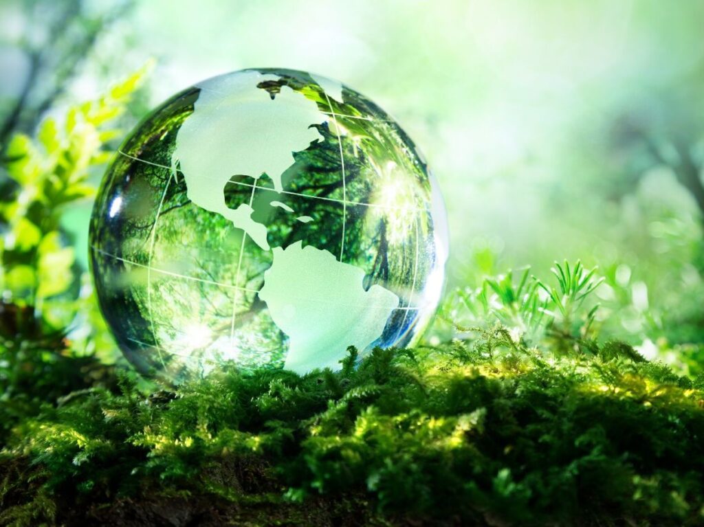 Environmental Risk Management